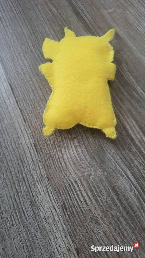 Pikachu Szczecin