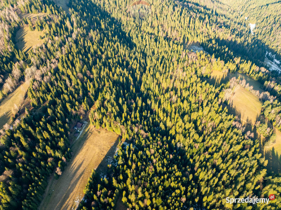 Grunt Harklowa sprzedam