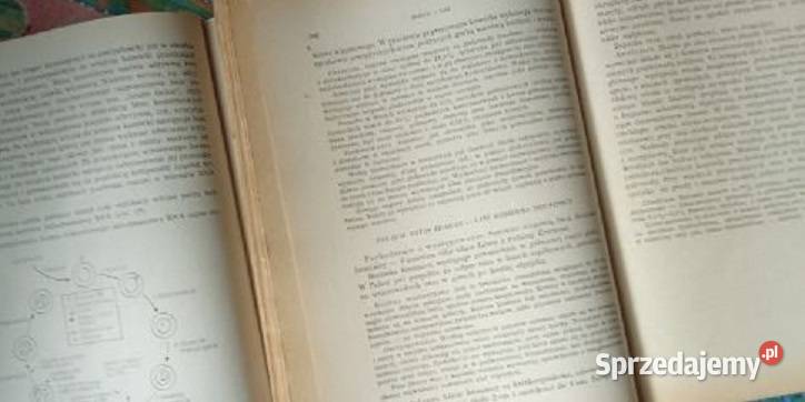 Zarys mikrobiologii farmaceutów Zarys Książki naukowe i popularnonaukowe Łódź