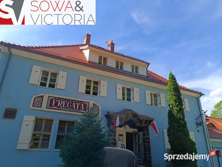 Rozległa działka lesie 1 jeziora dolnośląskie Michałkowa