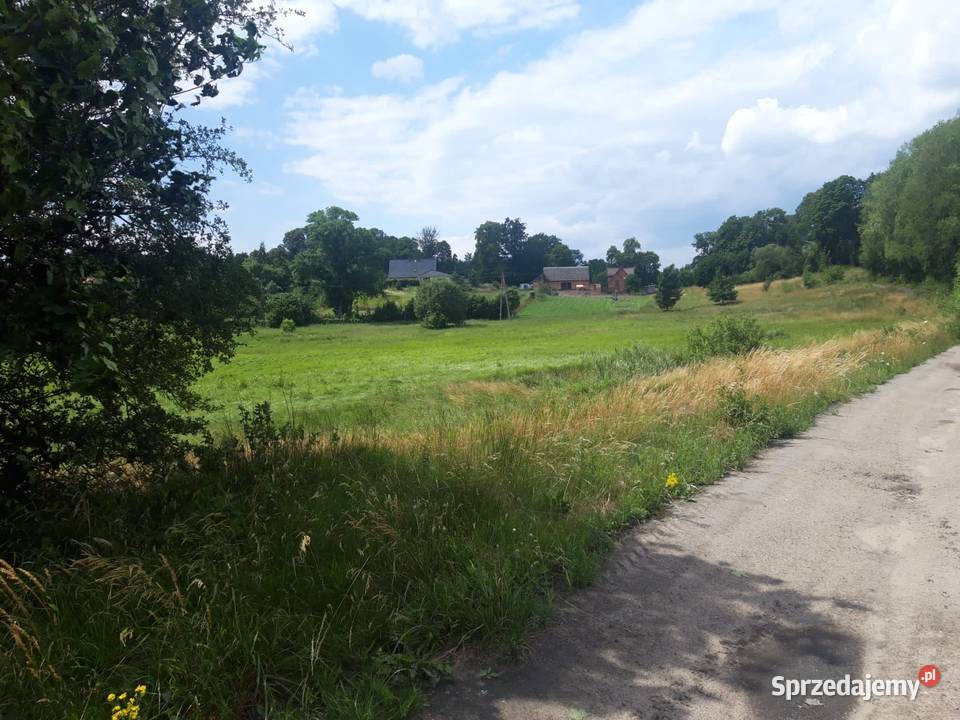 Działka budowlana drodze asfaltowej 1050m2 Sprzedaż Darżewo