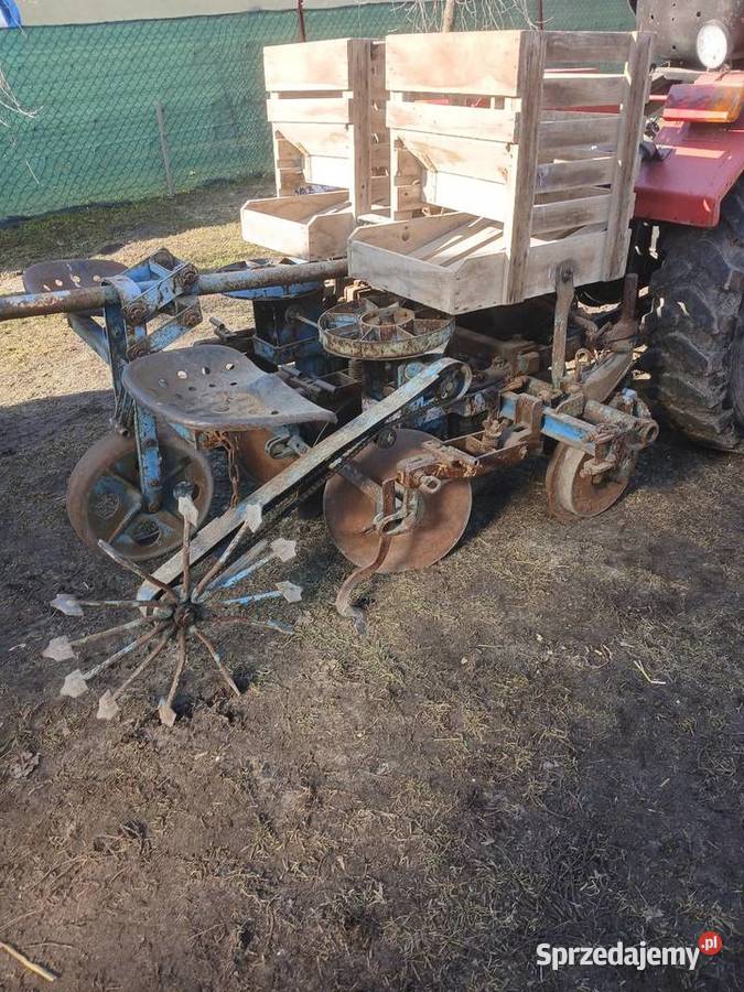 Sadzarka do ziemniaków podkiełkowanych Rybie