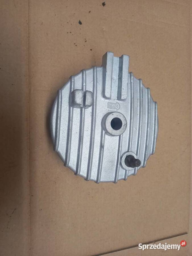 Szczekotrzymacz zak ryś Sokołów Podlaski