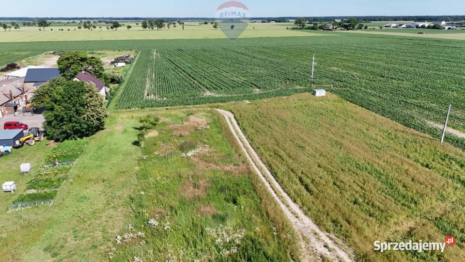Działka budowlana Czerlejno MPZP Kostrzyn sprzedam