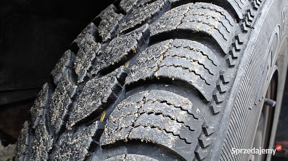 Fiat Panda 11 2004 r Niski przebieg manualna Kolbuszowa