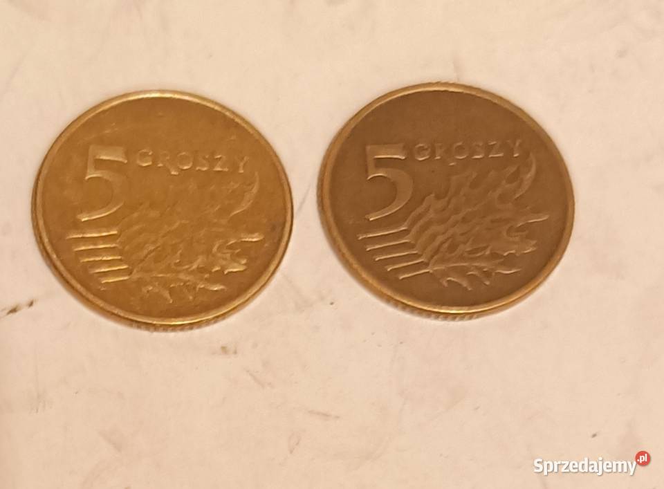 Monety kolekcjonerskie 5gr1993r dolnośląskie Świdnica