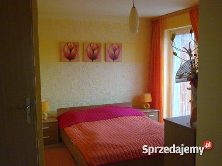 Dom w zabudowie szeregowej w Jelczu Laskowicach 226m2