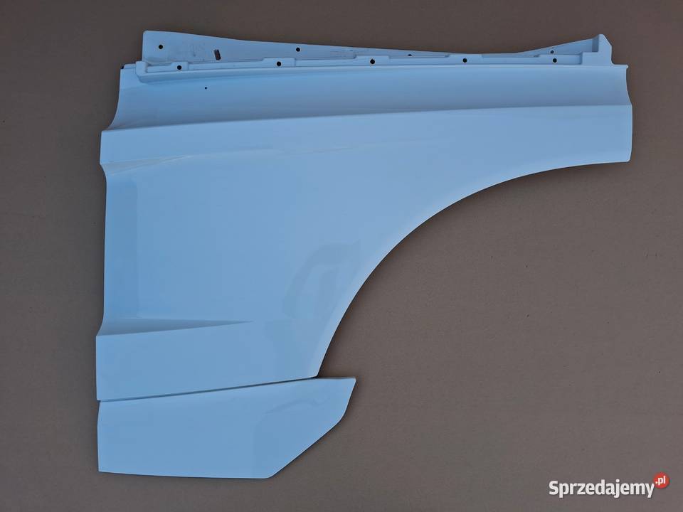 MERCEDES ACTROS MP4 PRZEDŁUŻENIE DRZWI LEWYCH Bieleń