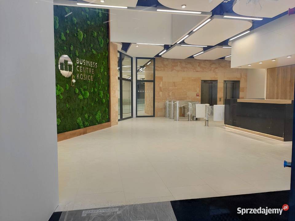 Kamień dekoracyjny ozdobny elewacyjny do salonu Wielgomłyny