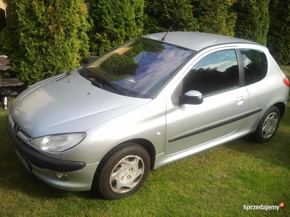 zgrabny Peugeot 206 2003 206 Jerzmanowice