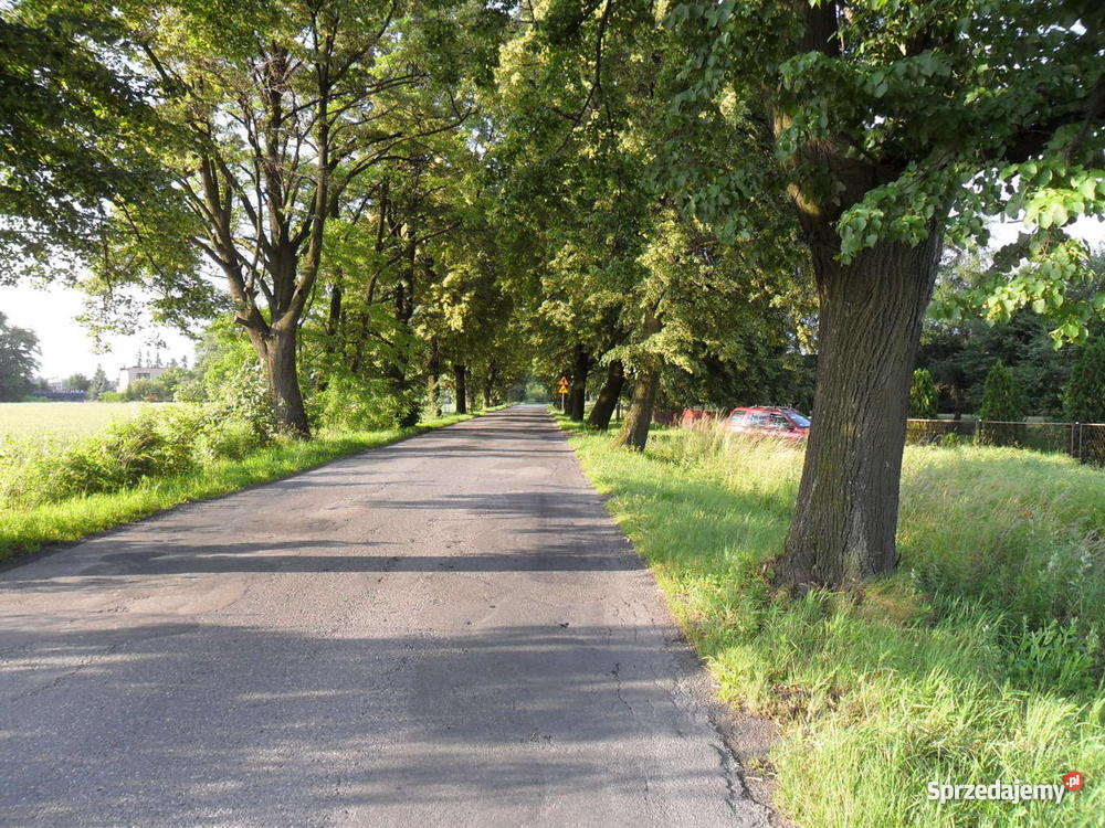 Działka budowlana PRUCHNA śląskie Cieszyn sprzedam