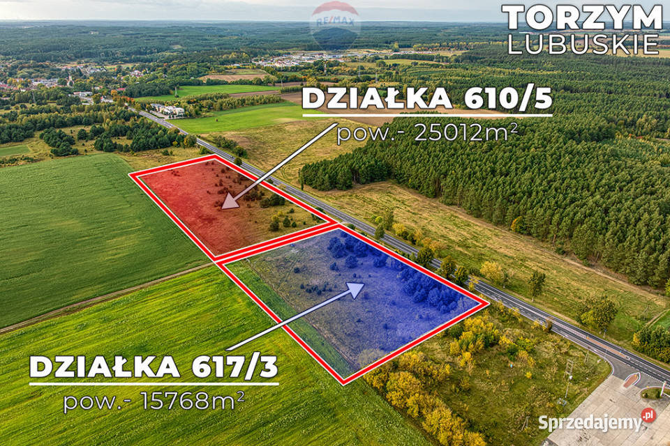 Na sprzedaż 2 działki z potencjałem 0m lubuskie Torzym