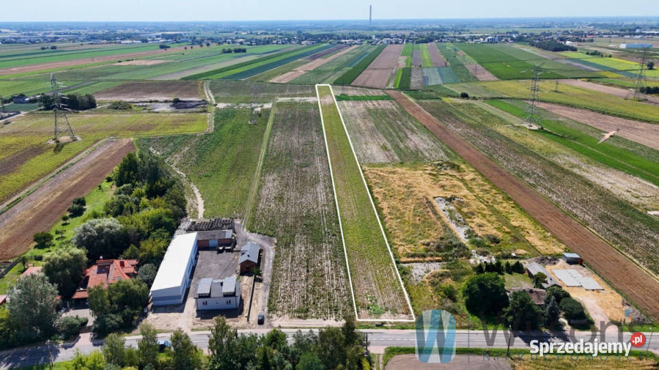 Grunt Pogroszew Nowowiejska 11913m2 sprzedam
