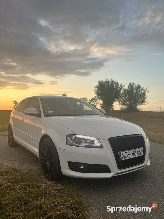 Audi A3 8P Sportback reflektory ksenonowe Audi Małdyty sprzedam