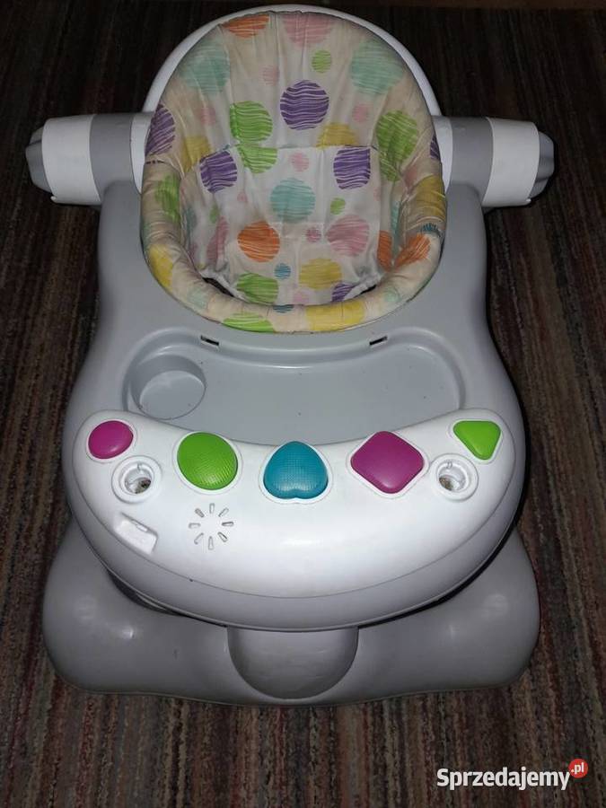 Chodzik pchacz śląskie Częstochowa