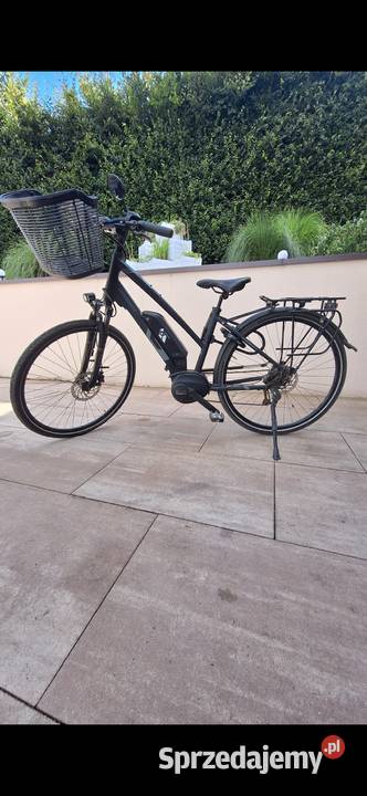 Rower elektryczny marki Gudereit Kielno