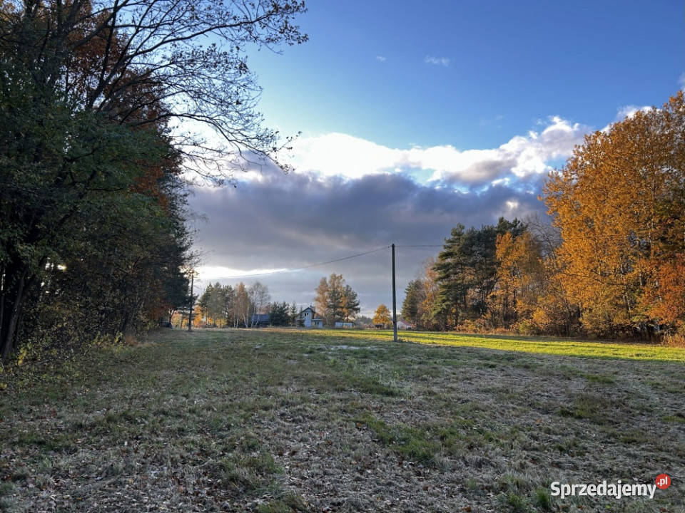 Działka w spokojnej okolicy asfalt Rydzów