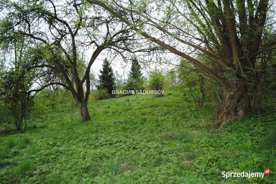 Sprzedaż gruntu 2340m2 Chobędza 36m