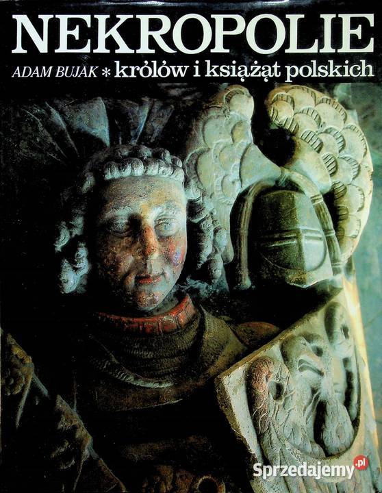 Adam Bujak Nekropolie Kruszwica