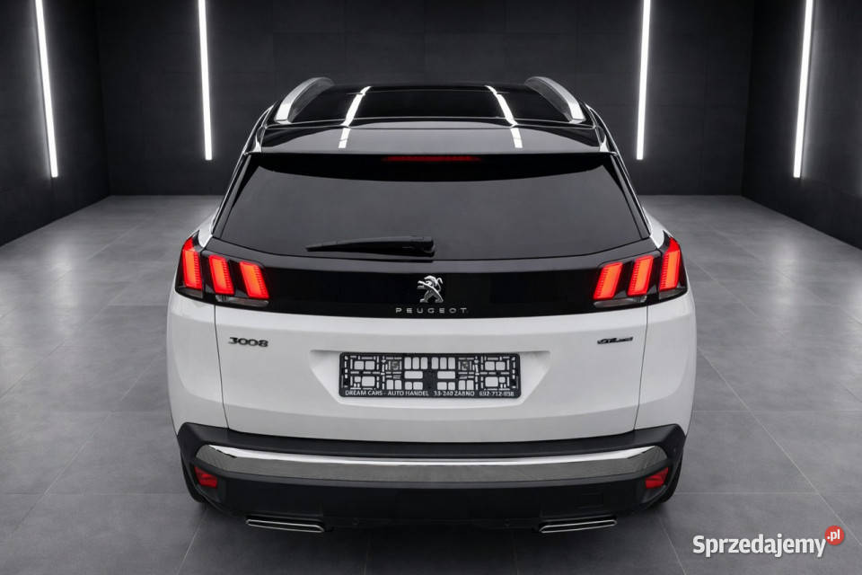 Peugeot 3008 16 Żabno
