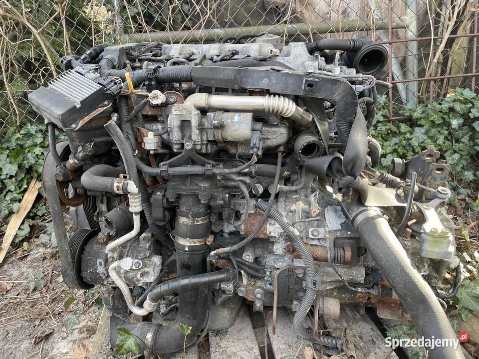 Silnik Toyota Avensis RAV4 D4D lubelskie Łuszczacz