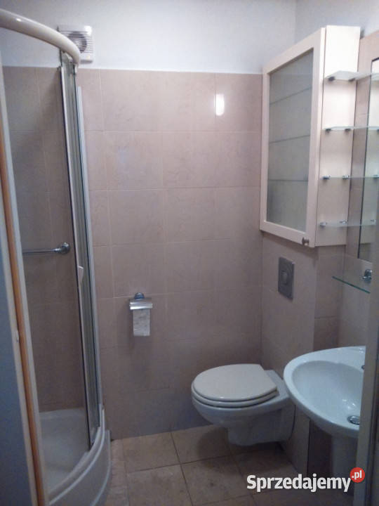 Wynajmę 3y pokojowe mieszkanie w centrum Piętro 3 Pruszków sprzedam