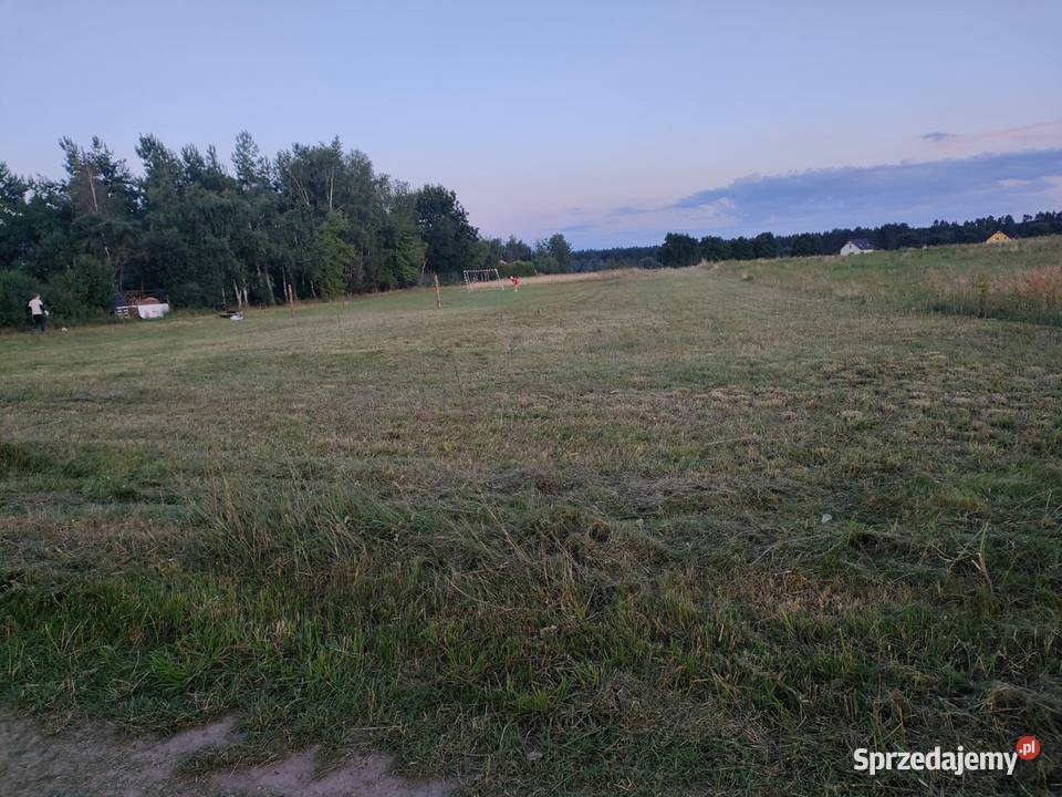 Działka działki Trzebiszewo 818ar Skwierzyna