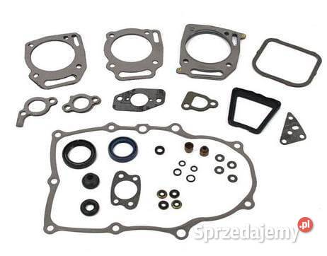 Zestaw uszczelek 84006737 Ogród Kamionna