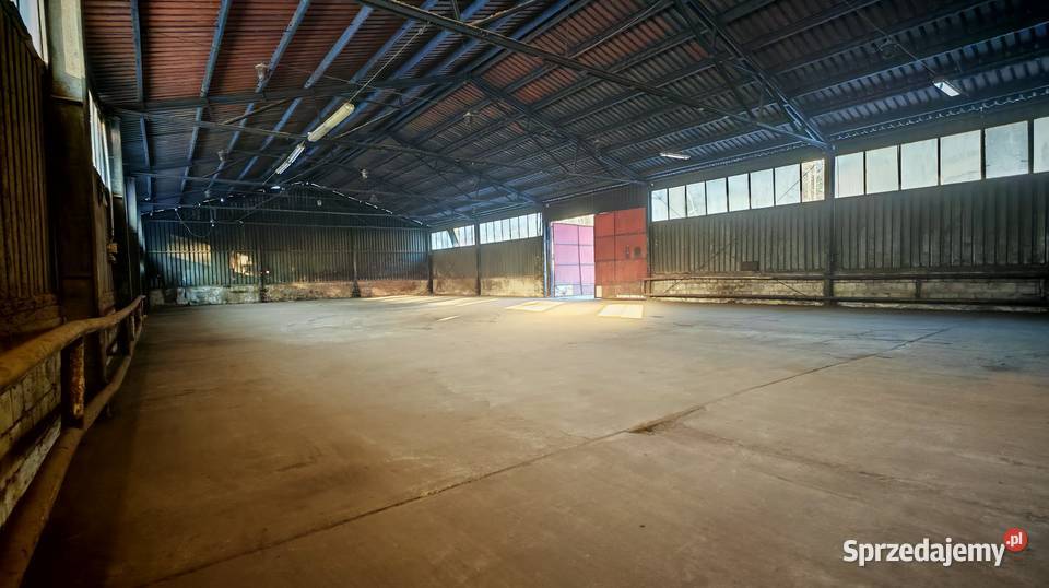 Do wynajęcia hala magazyn 450 m Naterki k Wynajem