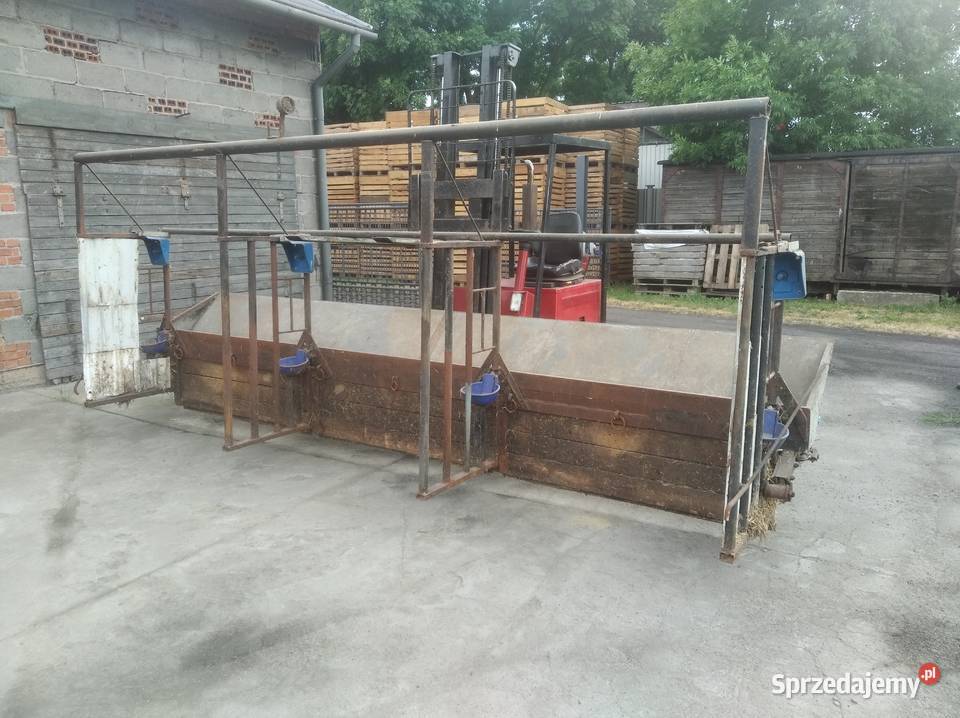 koryto wygrodzenie bydła Kalisz