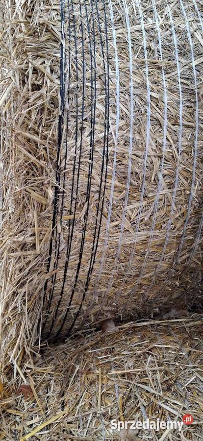 Słoma 120120 Kolonia Pęcławska