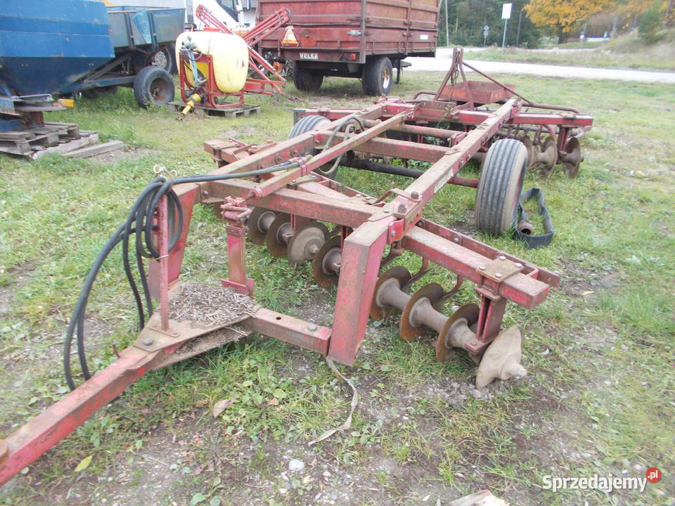 brona talerzowa lilla harie Brony podlaskie