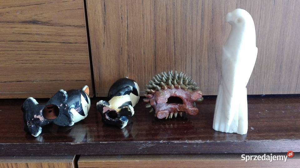 Kiciusie małe Warszawa