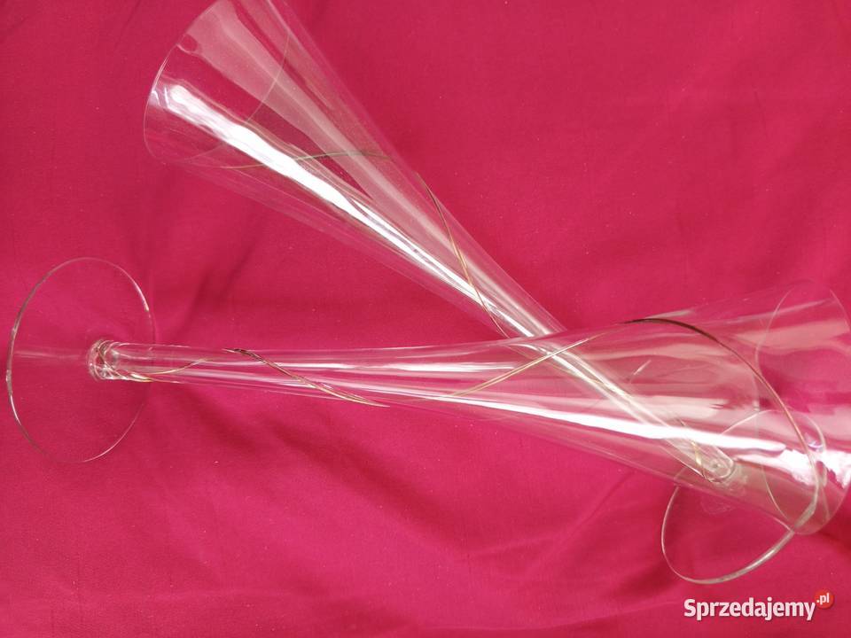 kieliszki do szampana Leonardo 2 sztuki Warszawa sprzedam