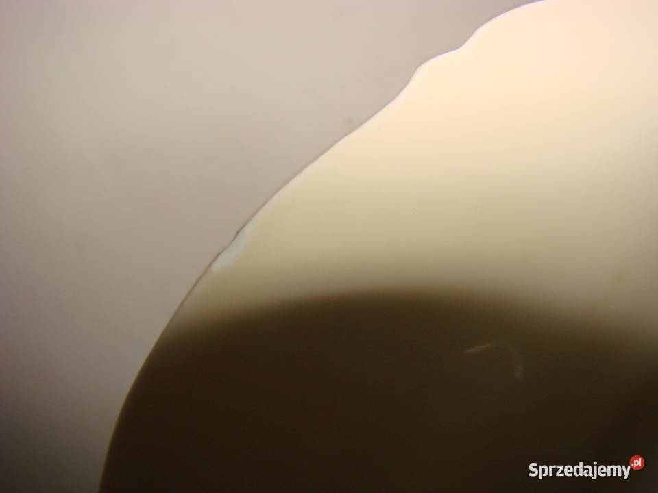 1811 Altenburg porcelanowy talerz deserowy sprzedam