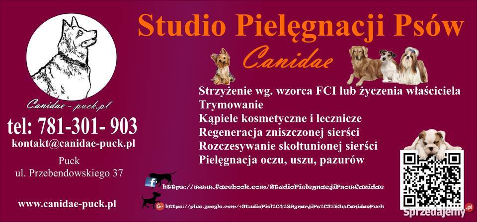 Strzyżenie Psów Puck