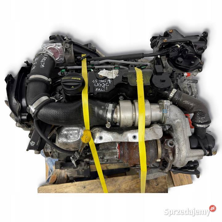 SILNIK UGJC Ford Fiesta VII MK7 B B 15 TDCI 75 Chełm
