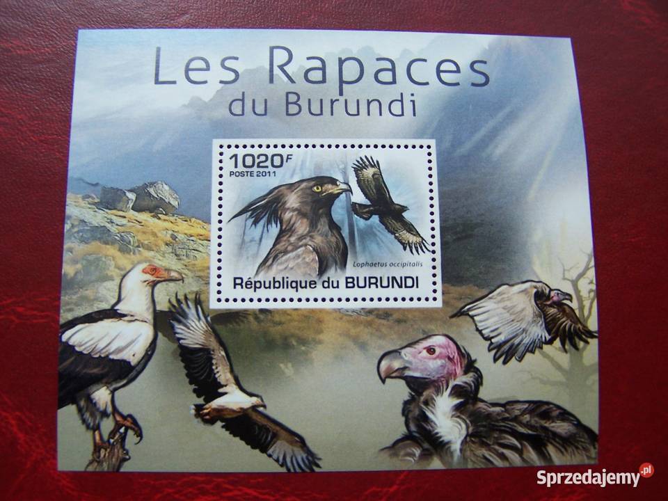Burundi 2011 MNH Fauna Ptaki Drapieżne Tychy