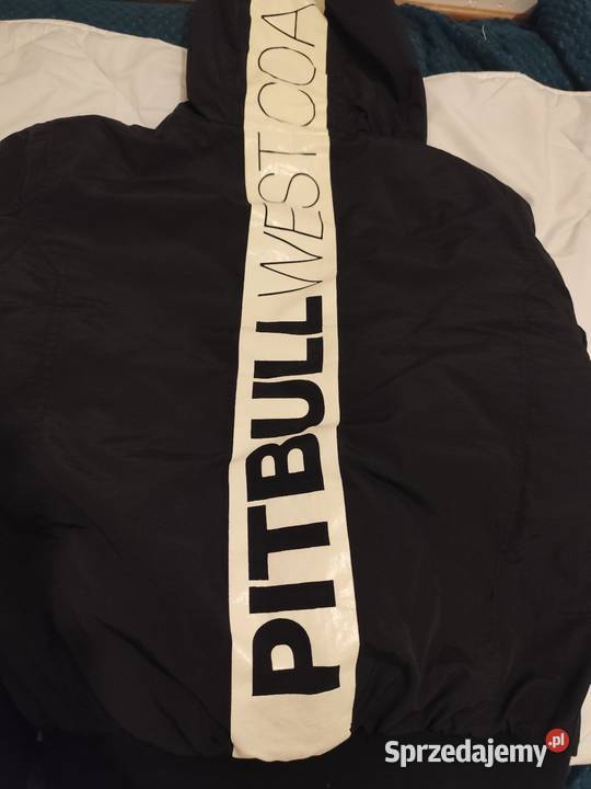 Kurtka pitbull czapka Szczecin