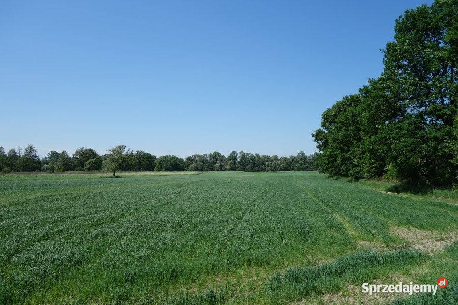 Skoczów Ochaby 57ar pod lasem widokowa pod Wisła
