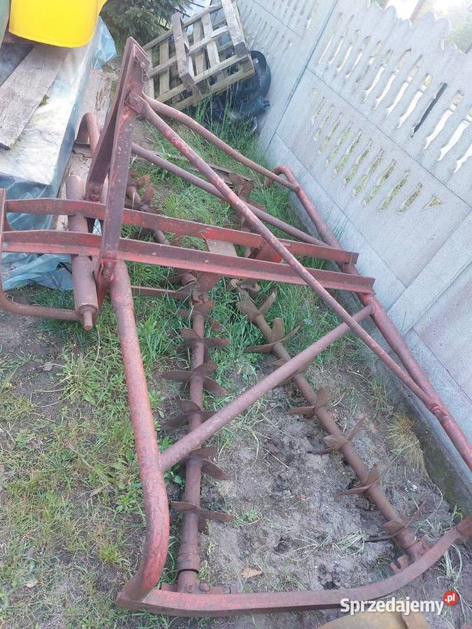 Brona kolczasta Brony pomorskie Karsin