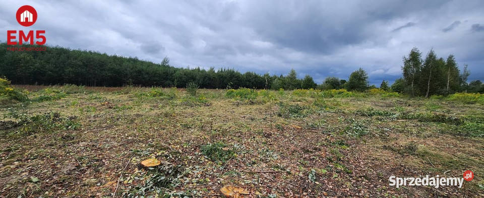 Działka Kolonia 3063 metry Halickie