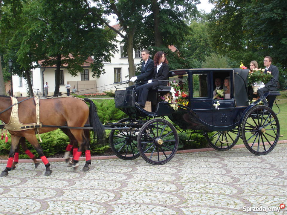 Kareta Landauer sprzedam Nowa Wieś