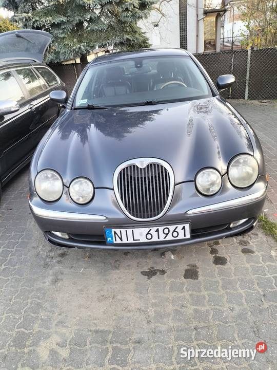 Jaguar warmińsko-mazurskie Iława