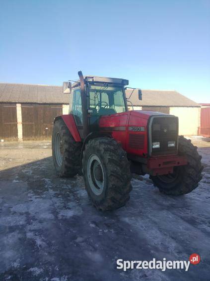Massey Ferguson 3690 łódzkie Grabów