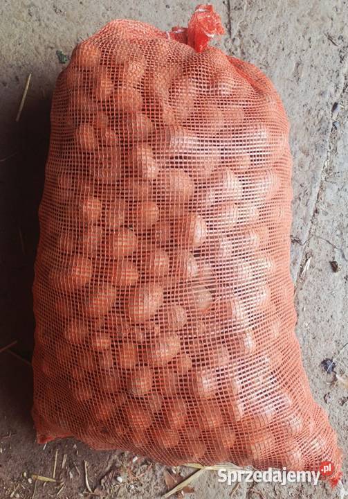 Sprzedam ziemniaki paszowe Pawłokoma