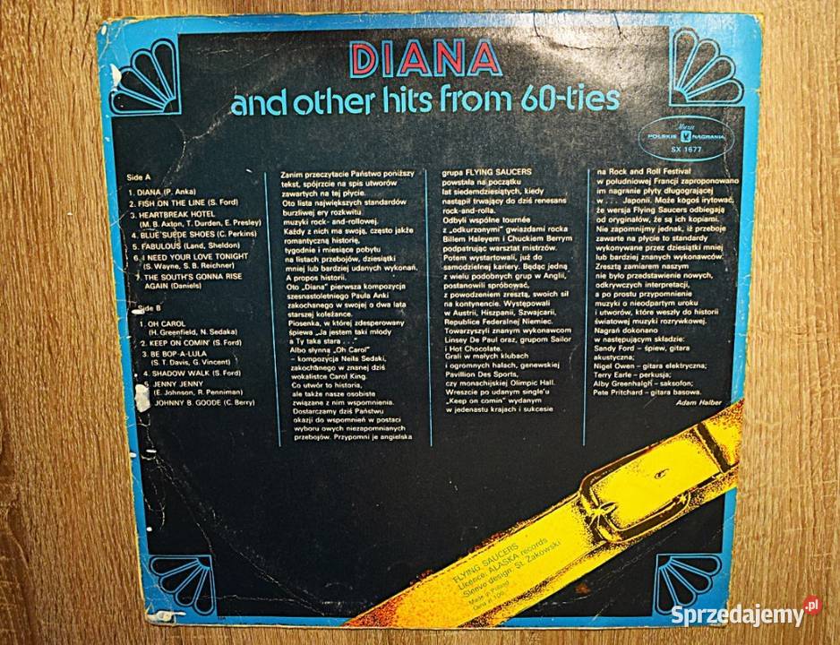 Diana and other hits from 60ties Flying Saucers płyta winylowa Płyty i kasety kujawsko-pomorskie Chełmno