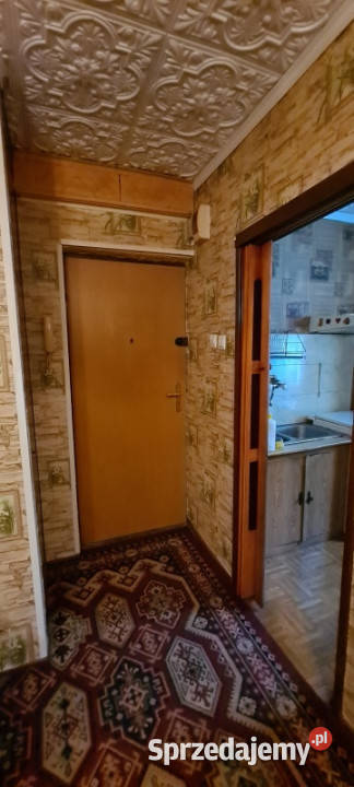 Wynajem mieszkania Ruda Śląska