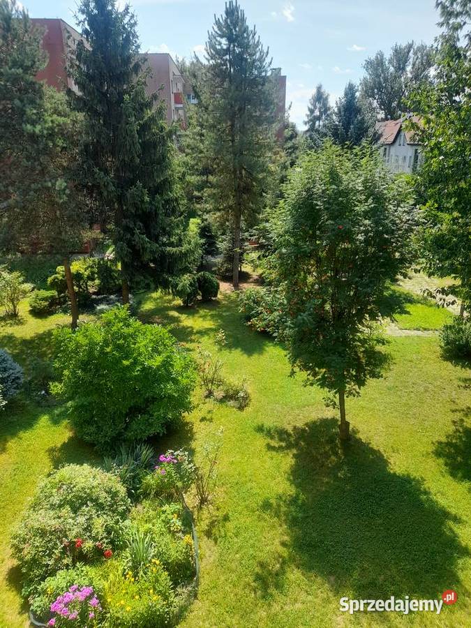Mieszkanie 3 pokojowe 643 m2 w super lokalizacji Liczba pokoi 3 Kraków