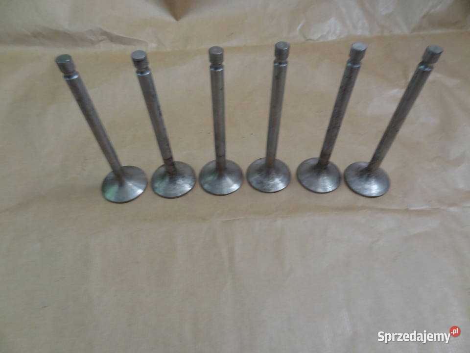 Zawory zawór wydechowy turbo silnik Leyland Rzeszów